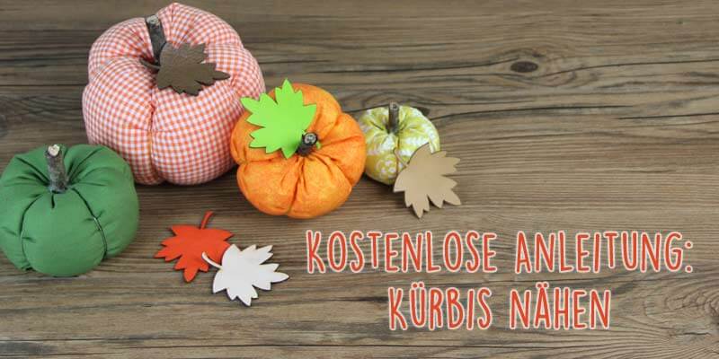 Stimmungsbild-kuerbis-blatt-leder-k